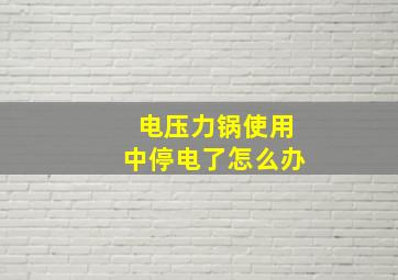 电压力锅使用中停电了怎么办