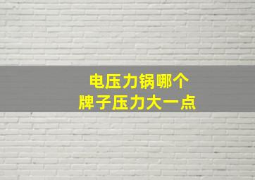 电压力锅哪个牌子压力大一点