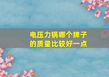 电压力锅哪个牌子的质量比较好一点