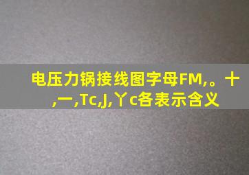 电压力锅接线图字母FM,。十,一,Tc,J,丫c各表示含义