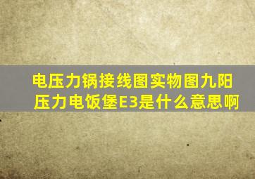 电压力锅接线图实物图九阳压力电饭堡E3是什么意思啊