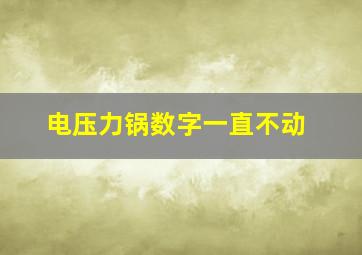 电压力锅数字一直不动