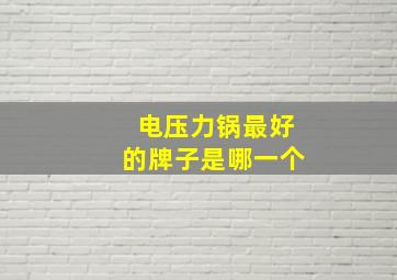 电压力锅最好的牌子是哪一个