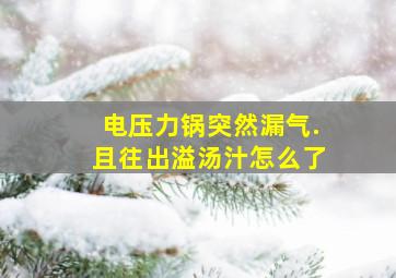 电压力锅突然漏气.且往出溢汤汁怎么了