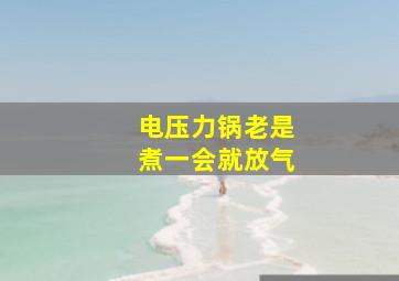 电压力锅老是煮一会就放气