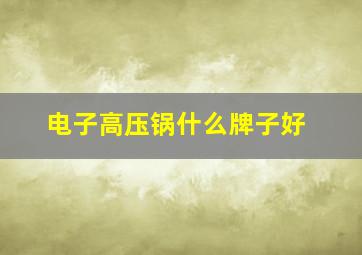 电子高压锅什么牌子好