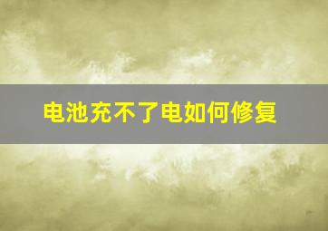 电池充不了电如何修复