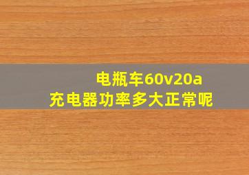 电瓶车60v20a充电器功率多大正常呢