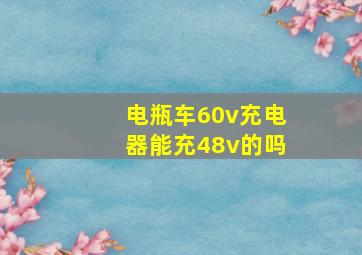 电瓶车60v充电器能充48v的吗