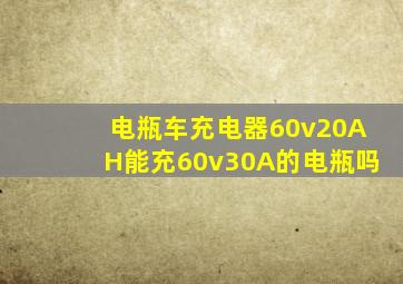 电瓶车充电器60v20AH能充60v30A的电瓶吗