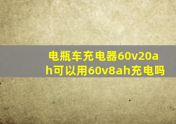 电瓶车充电器60v20ah可以用60v8ah充电吗