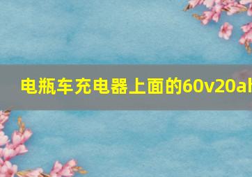 电瓶车充电器上面的60v20ah