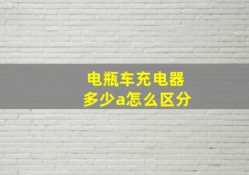 电瓶车充电器多少a怎么区分