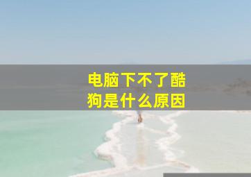 电脑下不了酷狗是什么原因