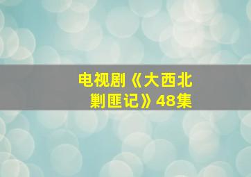 电视剧《大西北剿匪记》48集