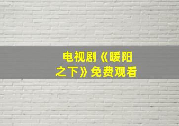 电视剧《暖阳之下》免费观看