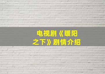 电视剧《暖阳之下》剧情介绍