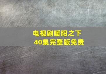 电视剧暖阳之下40集完整版免费