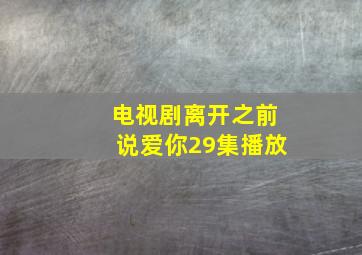 电视剧离开之前说爱你29集播放