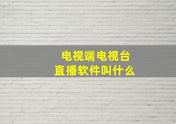 电视端电视台直播软件叫什么