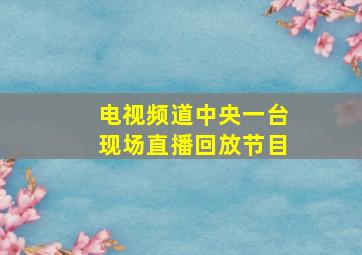 电视频道中央一台现场直播回放节目