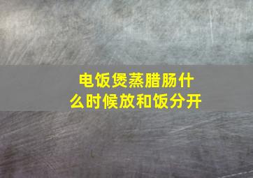 电饭煲蒸腊肠什么时候放和饭分开