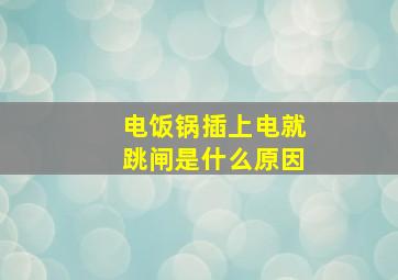 电饭锅插上电就跳闸是什么原因