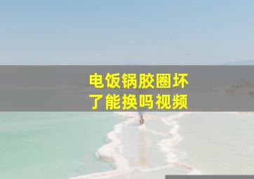 电饭锅胶圈坏了能换吗视频