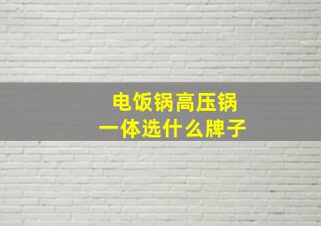 电饭锅高压锅一体选什么牌子