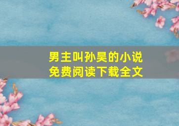 男主叫孙昊的小说免费阅读下载全文