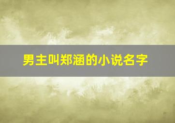 男主叫郑涵的小说名字