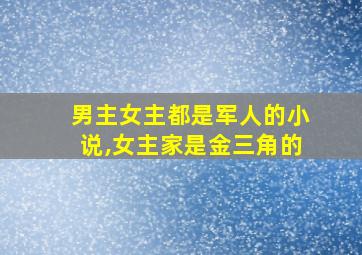 男主女主都是军人的小说,女主家是金三角的