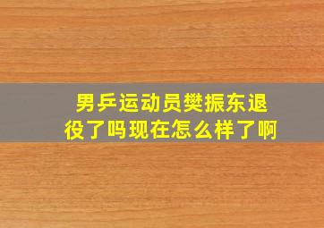 男乒运动员樊振东退役了吗现在怎么样了啊