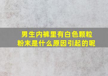 男生内裤里有白色颗粒粉末是什么原因引起的呢