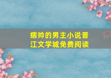 痞帅的男主小说晋江文学城免费阅读