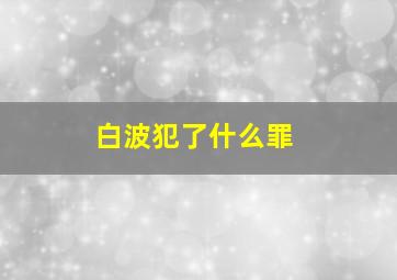 白波犯了什么罪