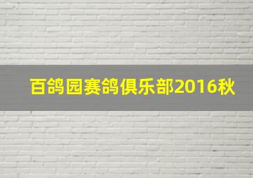 百鸽园赛鸽俱乐部2016秋