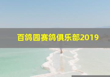 百鸽园赛鸽俱乐部2019