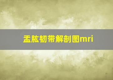 盂肱韧带解剖图mri