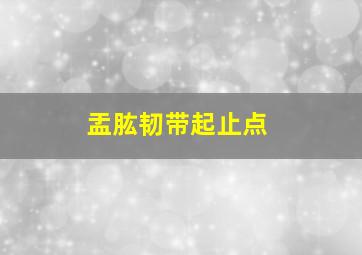 盂肱韧带起止点