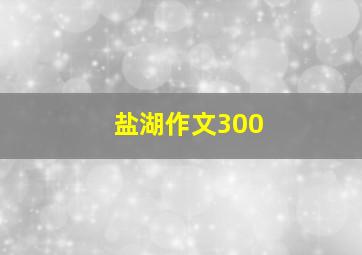 盐湖作文300