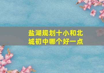 盐湖规划十小和北城初中哪个好一点