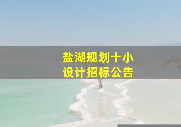 盐湖规划十小设计招标公告