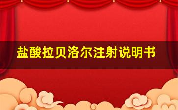 盐酸拉贝洛尔注射说明书