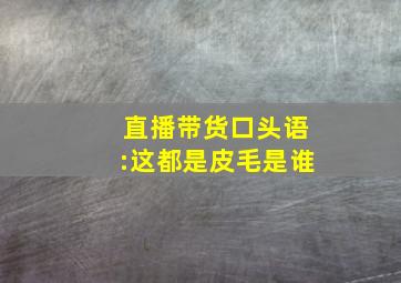 直播带货口头语:这都是皮毛是谁