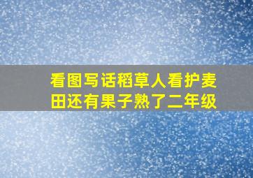 看图写话稻草人看护麦田还有果子熟了二年级