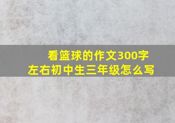 看篮球的作文300字左右初中生三年级怎么写