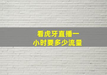 看虎牙直播一小时要多少流量