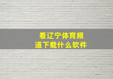 看辽宁体育频道下载什么软件