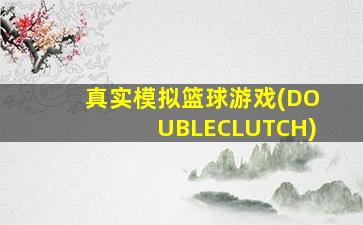 真实模拟篮球游戏(DOUBLECLUTCH)